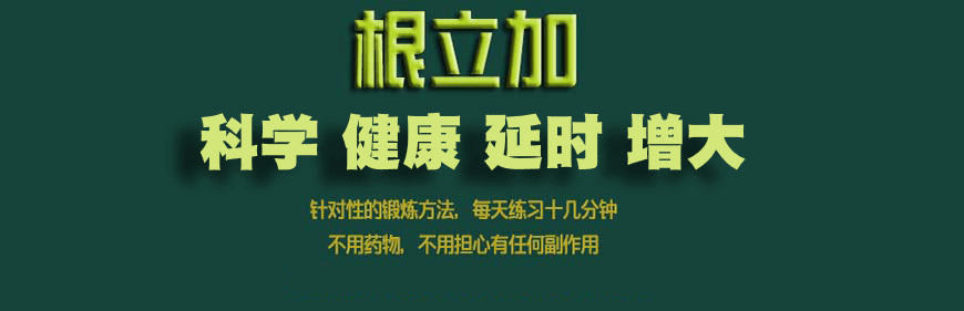 根立加训练系统